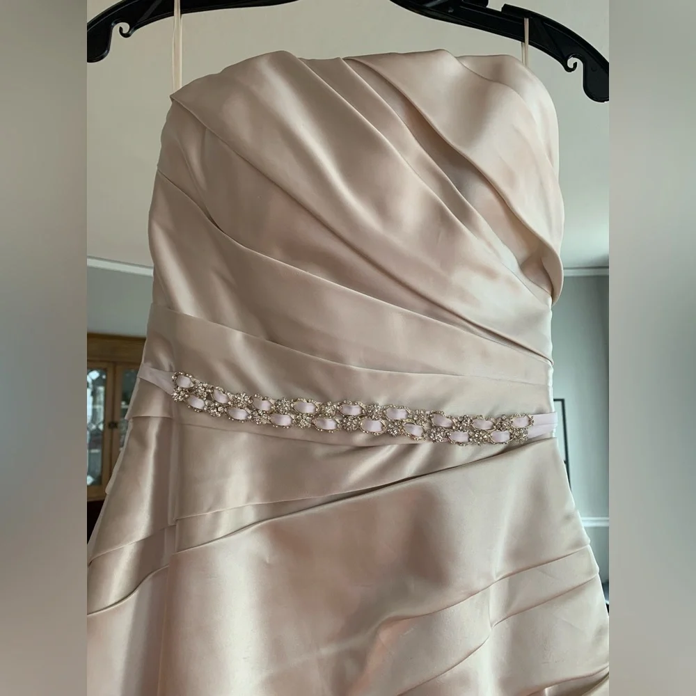 Pronovias Wedding Dress - Picture 7 of 8